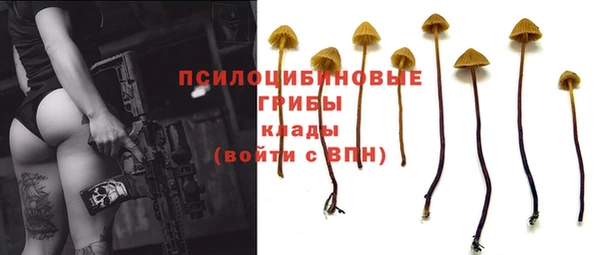 соль курить ск Алексин