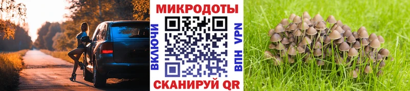 купить закладку  Солнечногорск  Псилоцибиновые грибы мицелий 